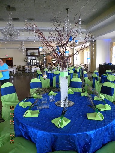 I just did my daughters wedding in all peacock theme