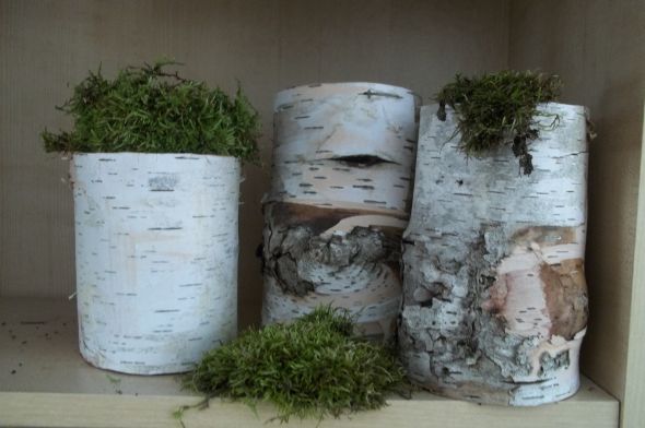 Birch Bark vessels and Awesome Moss wedding birch bark moss reception diy 