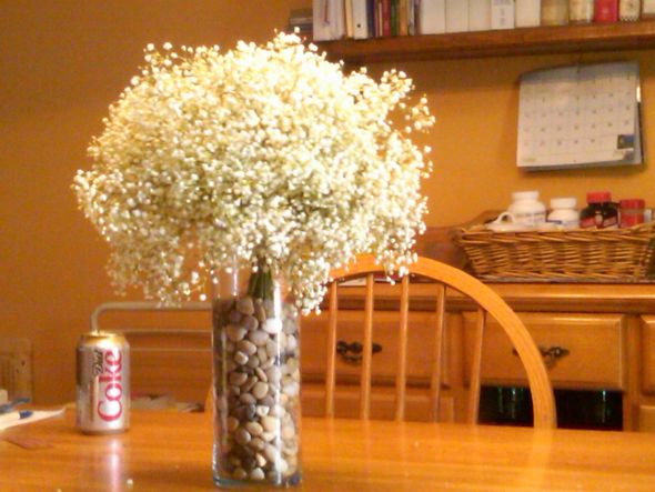 Cost of Baby's Breath!?! :  wedding babys breath 1 cost flowers florist Center Piece Test