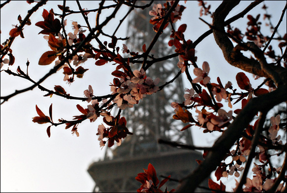 paris proposal