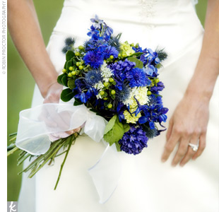 Intro Wedding Blog! :  wedding colors purple blue april first post Flowers 3