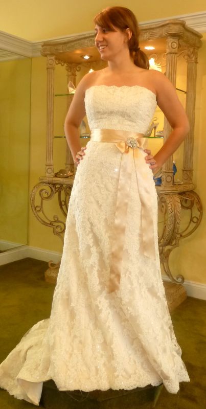 Here's my journey of dresses! Share yours! (Pic heavy) :  wedding dress journey pic pics heavy plus size 1 weight loss curvy full figured 1 006 1