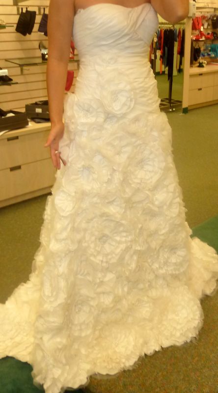 Here's my journey of dresses! Share yours! (Pic heavy) :  wedding dress journey pic pics heavy plus size 1 weight loss curvy full figured 1 028 1