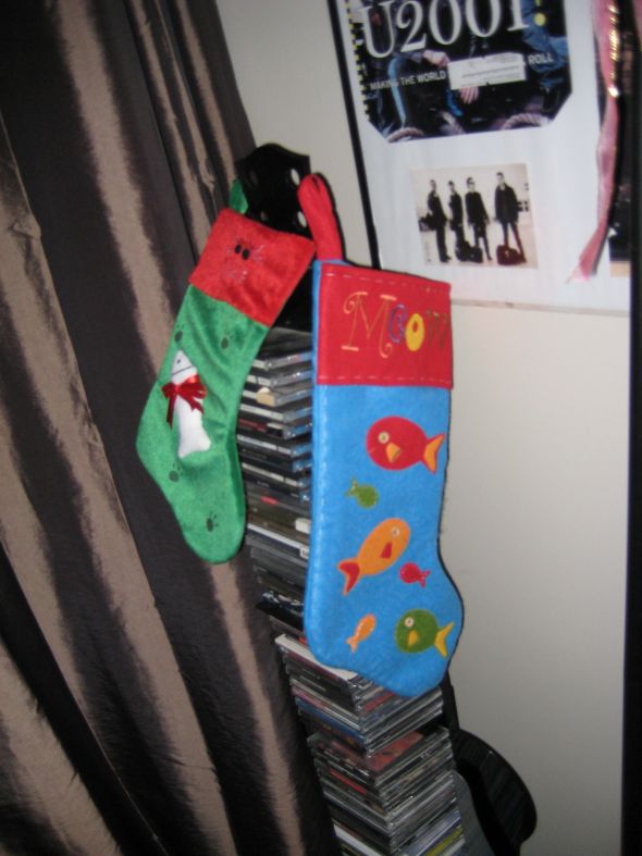 Another Christmas thread: Do your pets have stockings? :  wedding IMG 6706