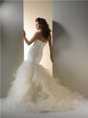 No one has my dress? How bout you? :  wedding Dress