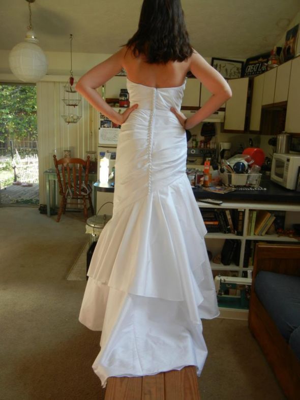 Beginning to get taffeta wedding dress regret Weddingbee Boards