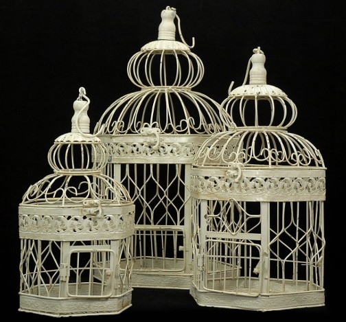 Cream birdcages like these from Saveoncrafts