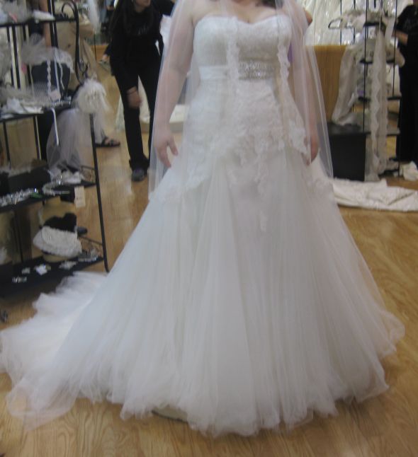 Is this the dress?? Ladies what do you think? : wedding full size plus size 1 dress wedding IMG 2613