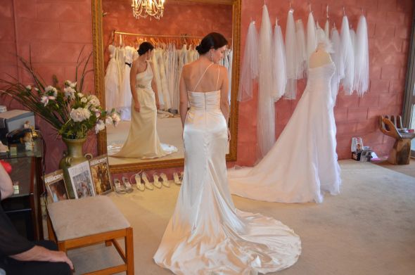 Pear Shaped Brides :  wedding DSC 0007 Honest Opinions and your thoughts on this dress please!! :  wedding DSC 0007 