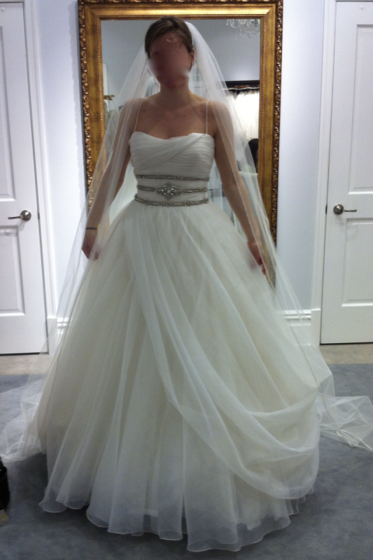 Help! I'm in Love with 2 Dresses! Help me decide! :  wedding dress decide help choose Dress 2 First Pic