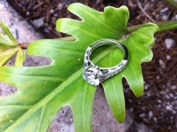 Any Bees with Tacori e-rings? :  wedding tacori ering Photo 21