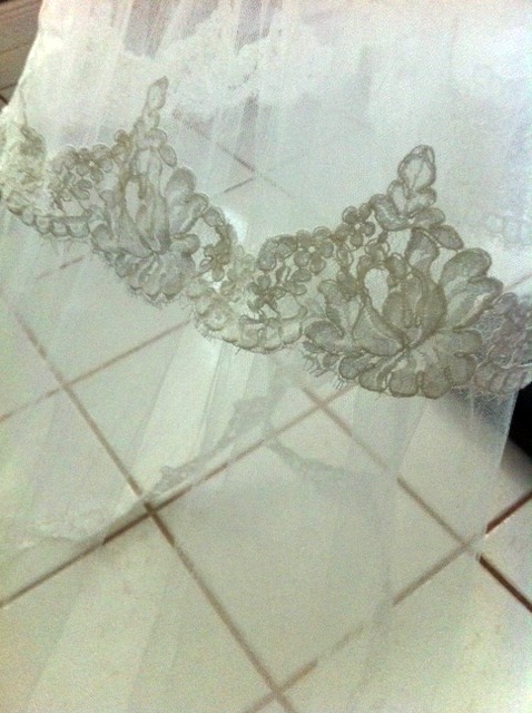 Bravo, Pronovias! :  wedding Veil2