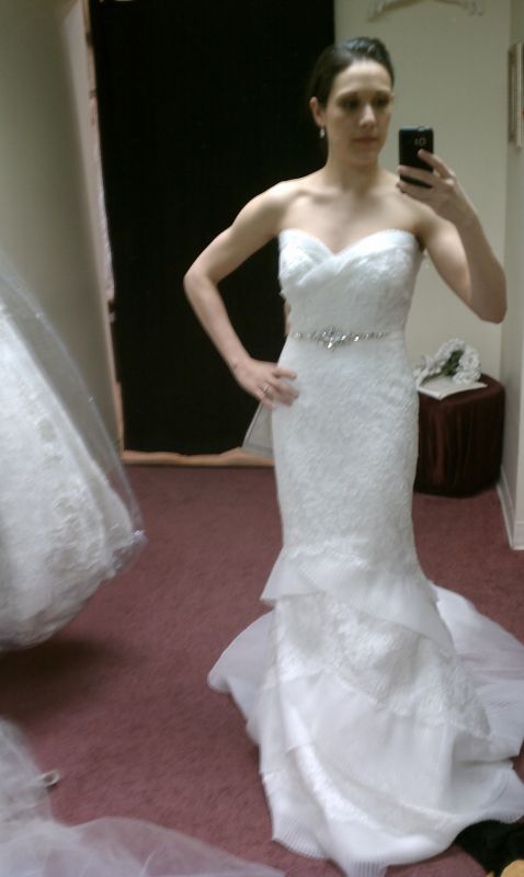 Here's my journey of dresses! Share yours! (Pic heavy) : wedding dress journey pic pics heavy plus size 1 weight loss curvy full figured 1 Paloma3