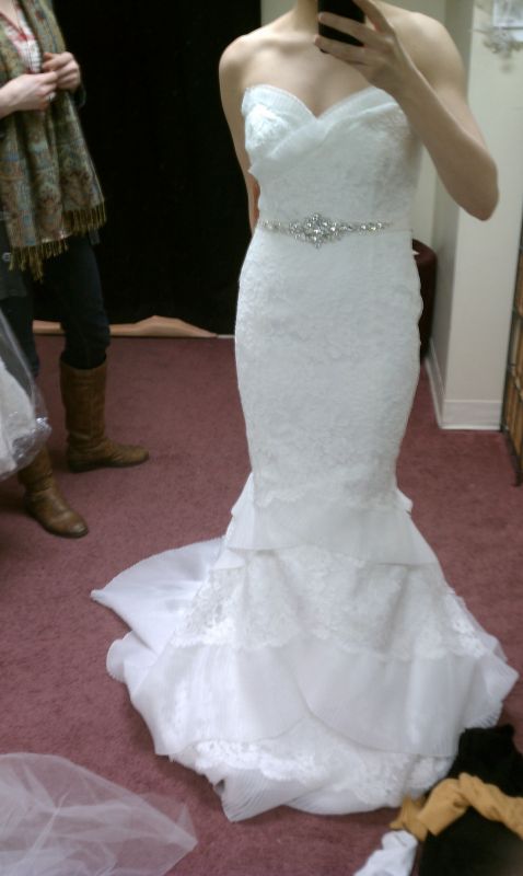 Can I see you in your dress? :  wedding dress Paloma Blanca 4150a
