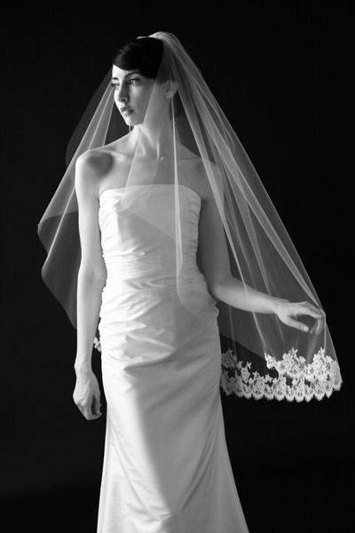 beehive please Help with veil suggestions! :  wedding veil dress wedding accessories ideas help pick choices what to wear hair accessories Veil Idea With Lace 1