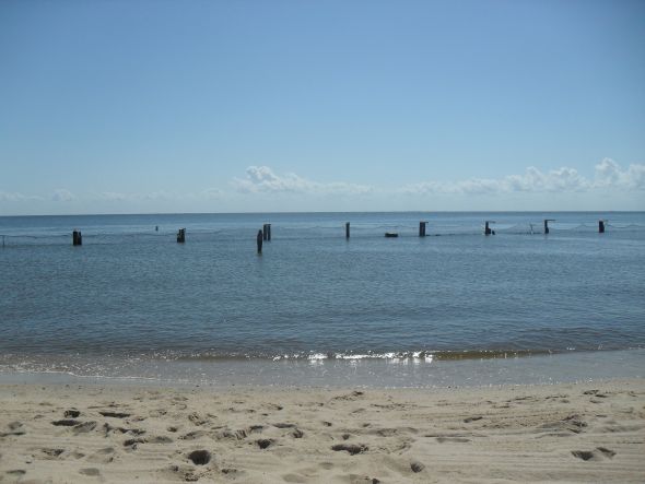 Favorite pic of where you live? :  wedding hawaii beach Beach 003