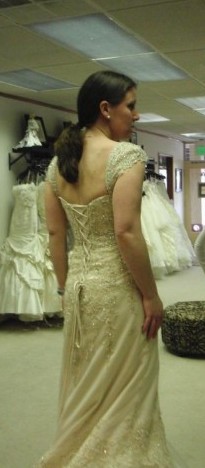 Help picking a dress! :  wedding dress poll maggie sottero milana allure 8755 allure 8800 Dress A 2 Edit