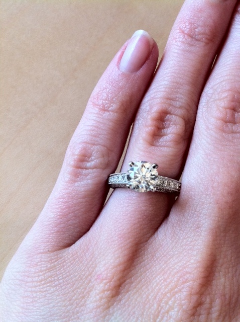 Heirloom Petite Cathedral PavÃ© Diamond Engagement Ring :  wedding pave cathedral blue nile heirloom petite thin band solitaire Ring2