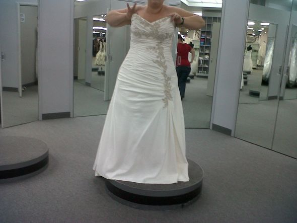 BEES! I need your help - any dresses similar to this one? : wedding IMG00069 20110416 1653 1