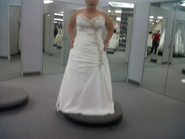 BEES! I need your help - any dresses similar to this one? :  wedding IMG00070 20110416 1654