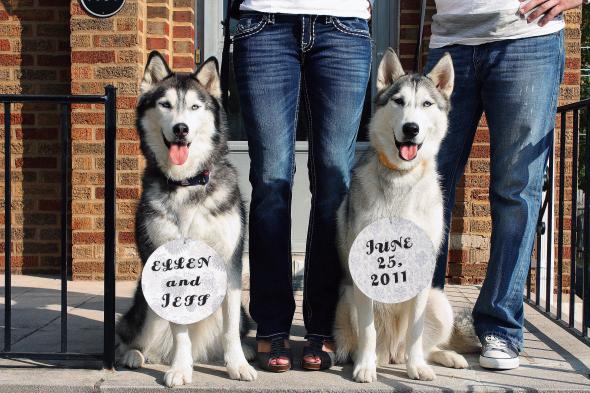 Husky Save the Date : wedding save the date engagement invitations Huskysavethedate