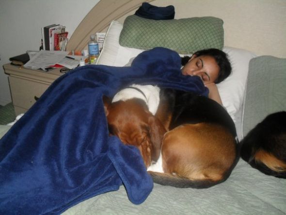Dear Bees, do you have a dog that loves to snuggle? :  wedding dog that love to snuggle Marty