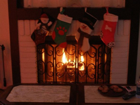 Another Christmas thread: Do your pets have stockings? :  wedding 16236 1278176269054 1069411533 851910 4222286 N