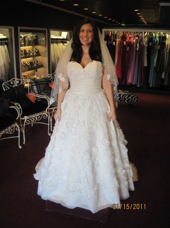 Anyone have pictures of hair completely down with a veil? :  wedding Camera 586