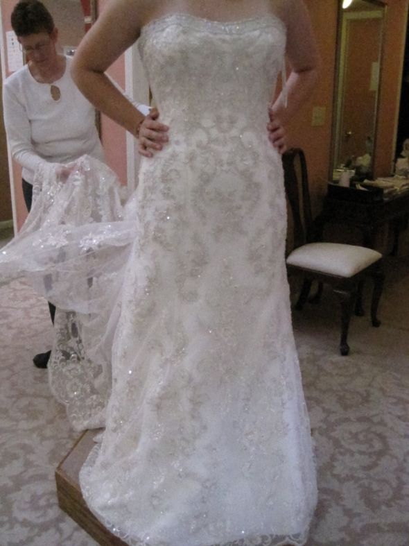 Dress advice pleeease! :  wedding dress help wedding dress gown dabra allure blue by enzoani Dresses 032