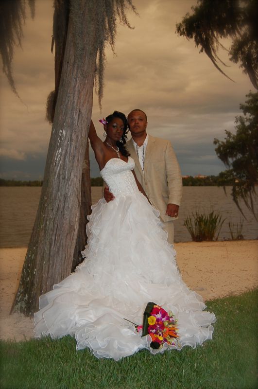 Crazy to buy a wedding dress online without trying it on??? :  wedding wedding dress online shopping DSC 0307color