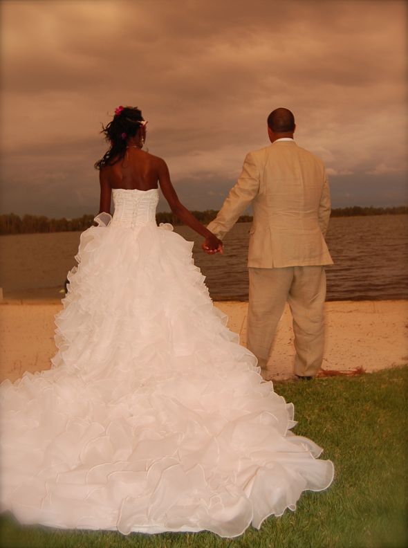 Crazy to buy a wedding dress online without trying it on??? :  wedding wedding dress online shopping DSC 0347color