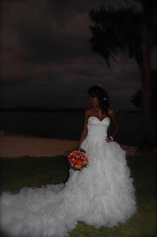 Crazy to buy a wedding dress online without trying it on??? :  wedding wedding dress online shopping DSC 0370color