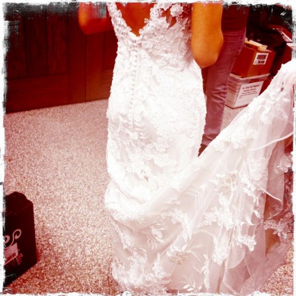 The Dress