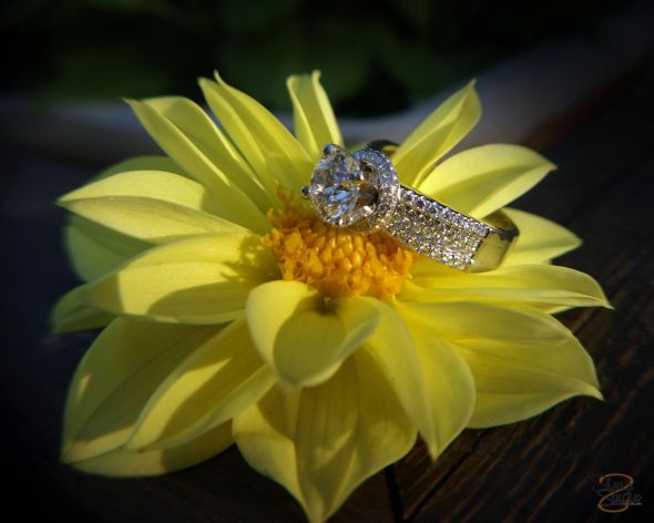 show me your rings :) :  wedding ring 329141 264463916911010 248055901885145 947297 1990647 O