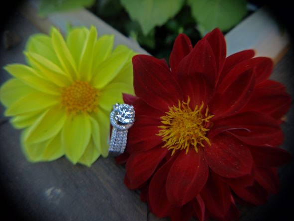 Let's see some thicker bands! Ring Porn included :  wedding David And Krystal 360