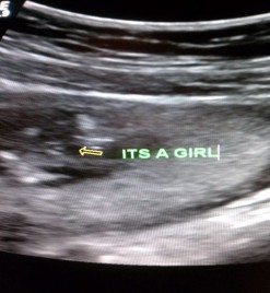 APRIL 2012 Babies : wedding IMAG0139