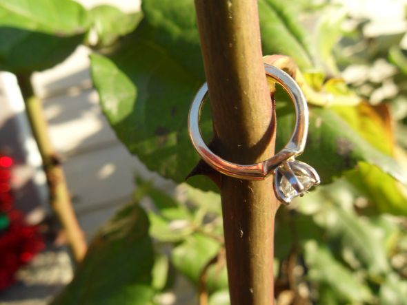 Oregon Bees Show me your rings! :  wedding oregon brides oregon rings show me your rings Reworked Ring 009