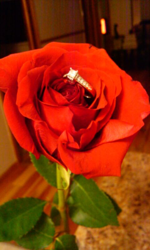 Let's see your half carat beauties!!! : wedding engagement rings e rings diamond rings rings 2011 02 16 22.09.12