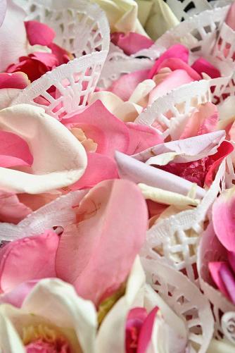 **Photo Recap**The Ceremony!!** Very Pic Heavy! :  wedding photo recap ceremony petals cones programs personal vows ANNA  JON 2011   LOW RESOLUTION 101.1