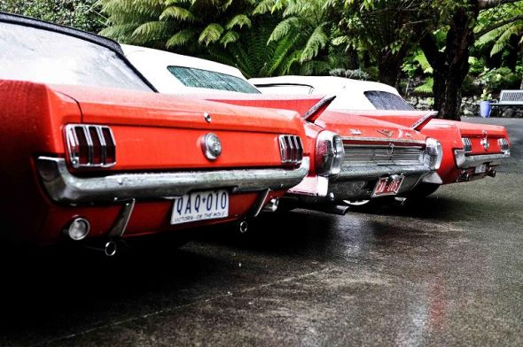 **Photo Recap**Boys Getting Ready!** Very Pic Heavy! :  wedding recap photo boys getting ready cadillac mustang ANNA  JON 2011   LOW RESOLUTION 186