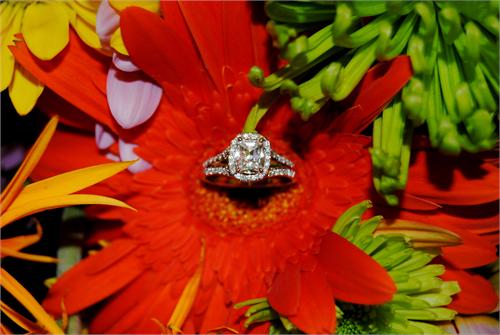 Ohhh Halo Ring Ladies!!! Show me yours! :) :  wedding ring halo Ringred
