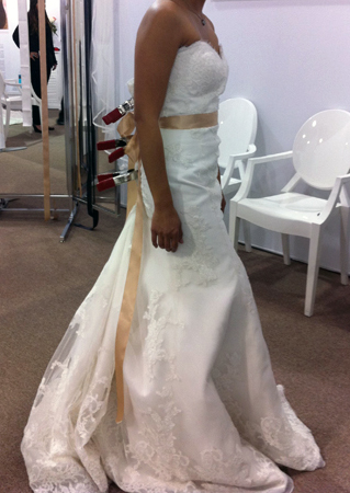 Please help me pick a sash :  wedding sash poll accessories Sash 1