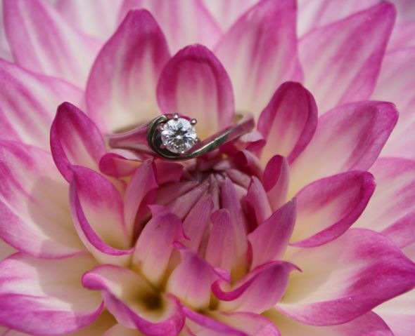 show me your rings :) :  wedding ring Ering Flower Shoot July 10 11 022a