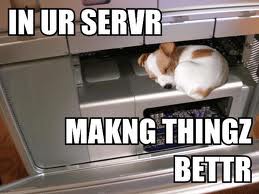 Site issues today. Sad WB :( :  wedding Dogs