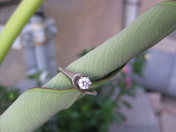 The ring that called your name! Show it off! (plus new ring porn!) :  wedding dream ring engagement ring unique ring proposal E Ring With Aug 18 11 017