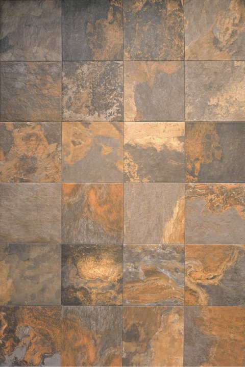 help me pick bathroom tile/border for shower :  wedding Multicolor
