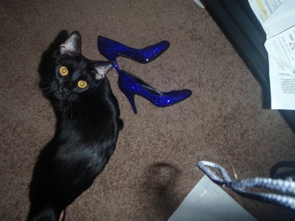 Finished: DIY Cobalt Crystal Shoes (Pic Heavy) :  wedding swarovski strass cobalt crystal diy shoes Shoeszulu1