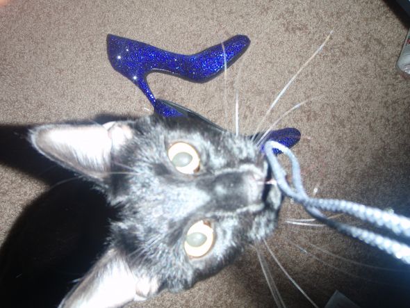 Finished: DIY Cobalt Crystal Shoes (Pic Heavy) :  wedding swarovski strass cobalt crystal diy shoes Shoeszulu3