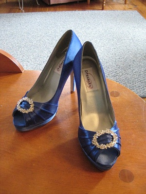 royal blue wedding with silver shoes