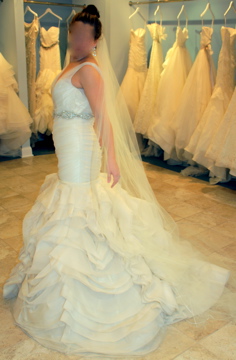 Mermaid & Trumpet Gowns! : wedding mermaid trumpet gown dress comfort IMG 1225